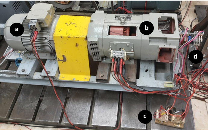 Imagen que contiene tabla, perro, camioneta, estacionado Descripción generada automáticamente